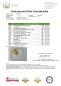 Preview: 8% CBD Hanftropfen Öl + Vitamin D3 | 10ml